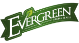 Evergreen